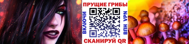 закладка Касли Галлюциногенные грибы Cubensis
