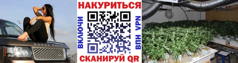 Каннабис SATIVA & INDICA  Касли 